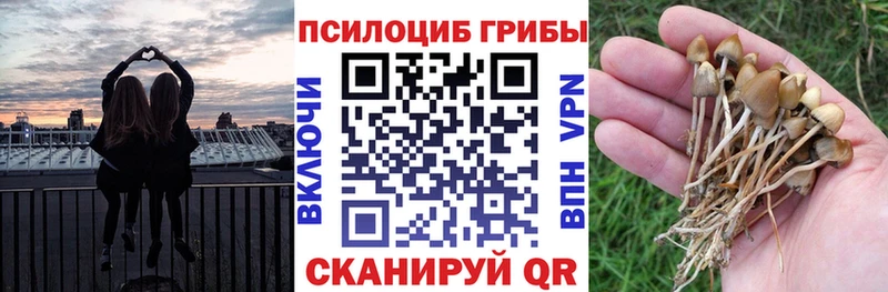 Псилоцибиновые грибы Magic Shrooms  Ивдель 