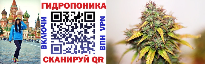 darknet телеграм  Ивдель  Канабис тримм 